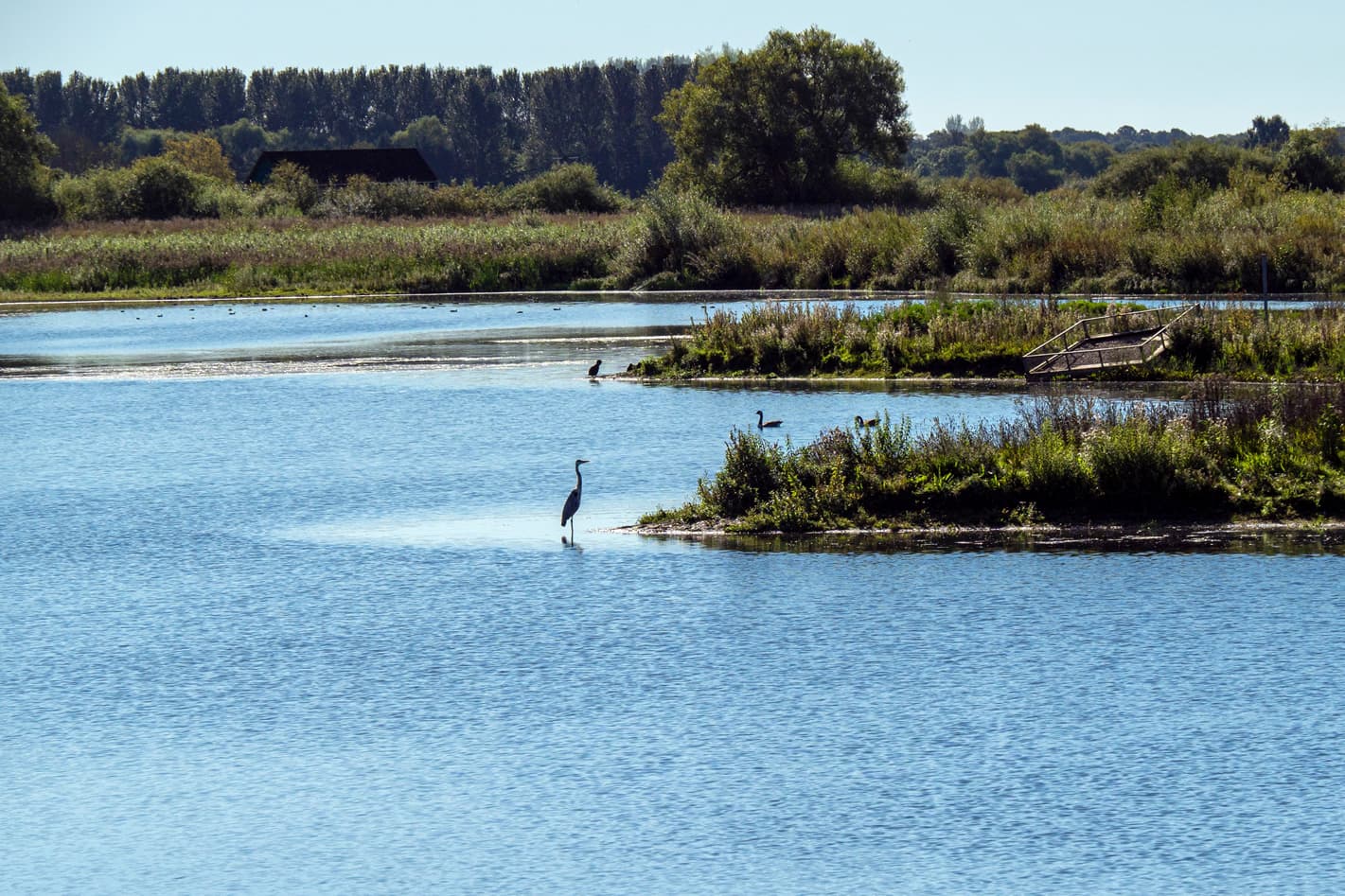 World Wetland Day 2023 in Yorkshire