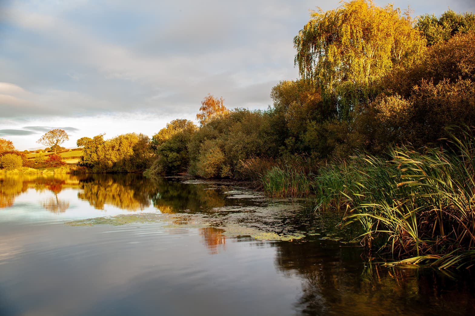 Walk: Harthill Reservoir