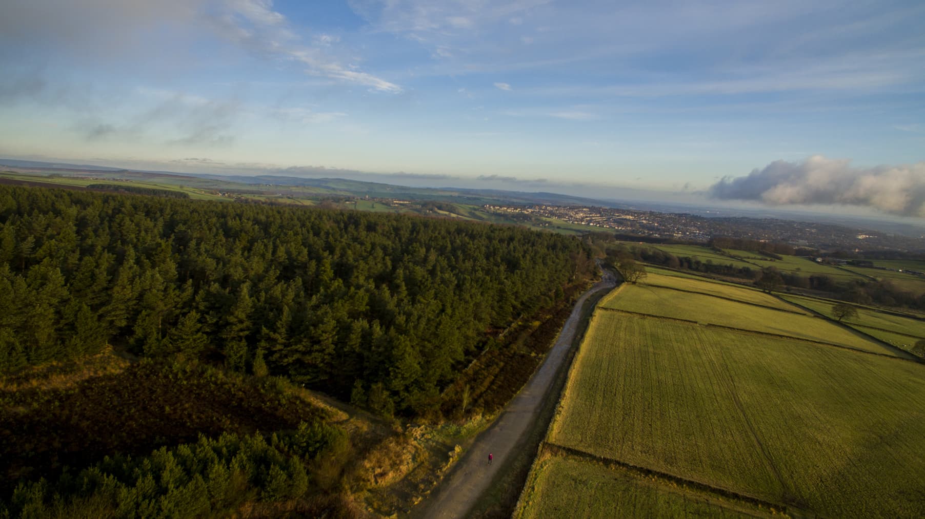 Lady Canning's Plantation Walk