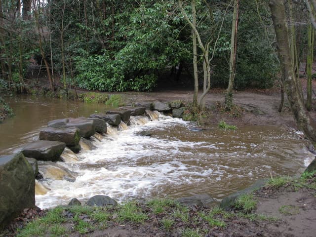 Walk: Endcliffe Park