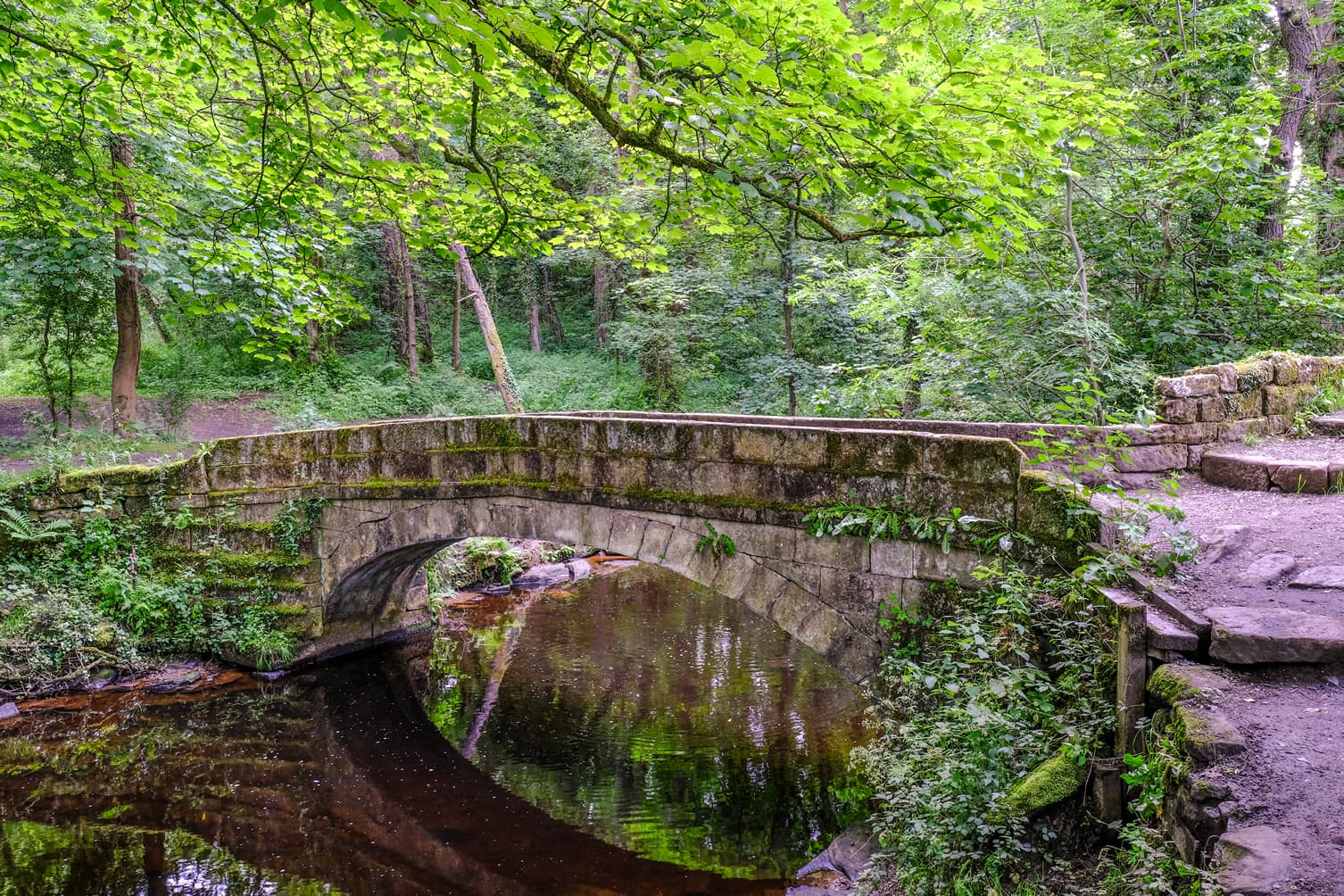 Walk: Rivelin Valley Nature Trail