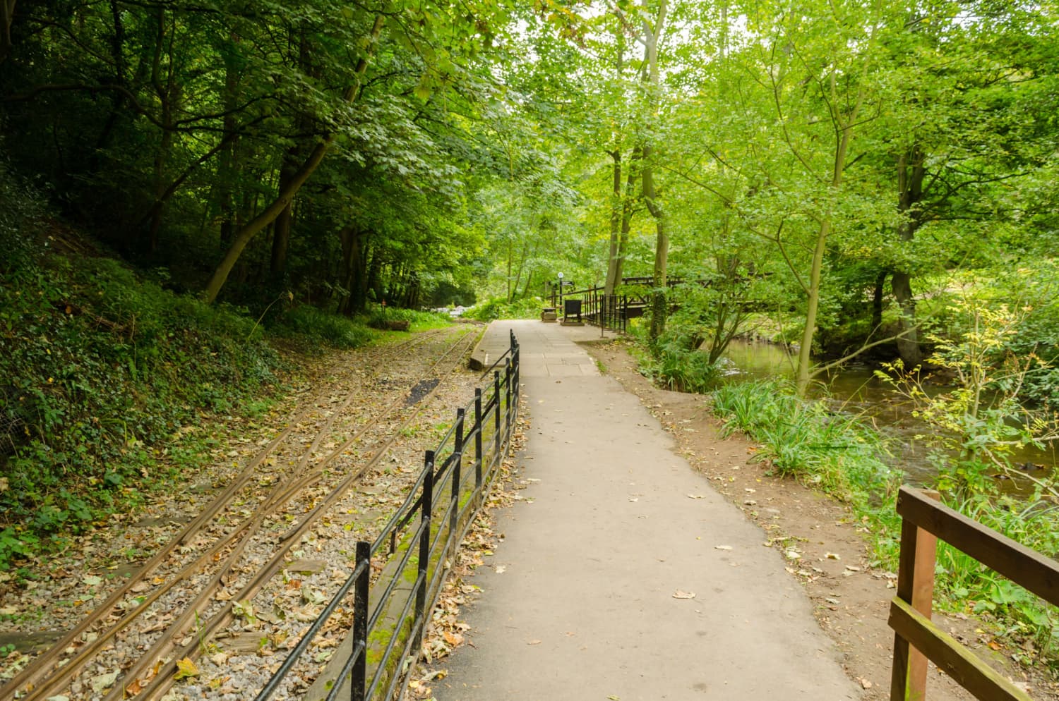 Walk: Saltburn Valley Gardens