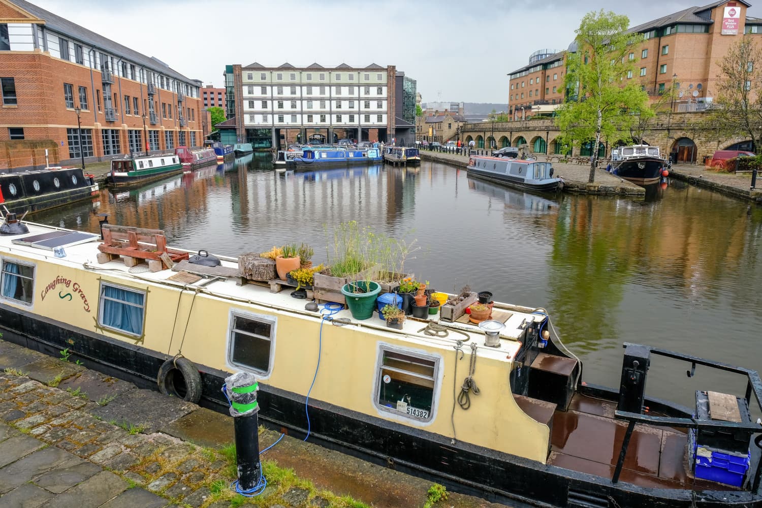 Walk: Sheffield Canal