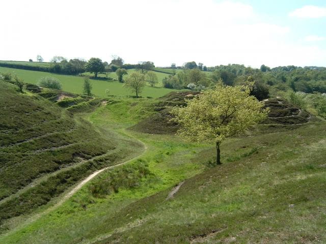 Walk: Hetchell Woods