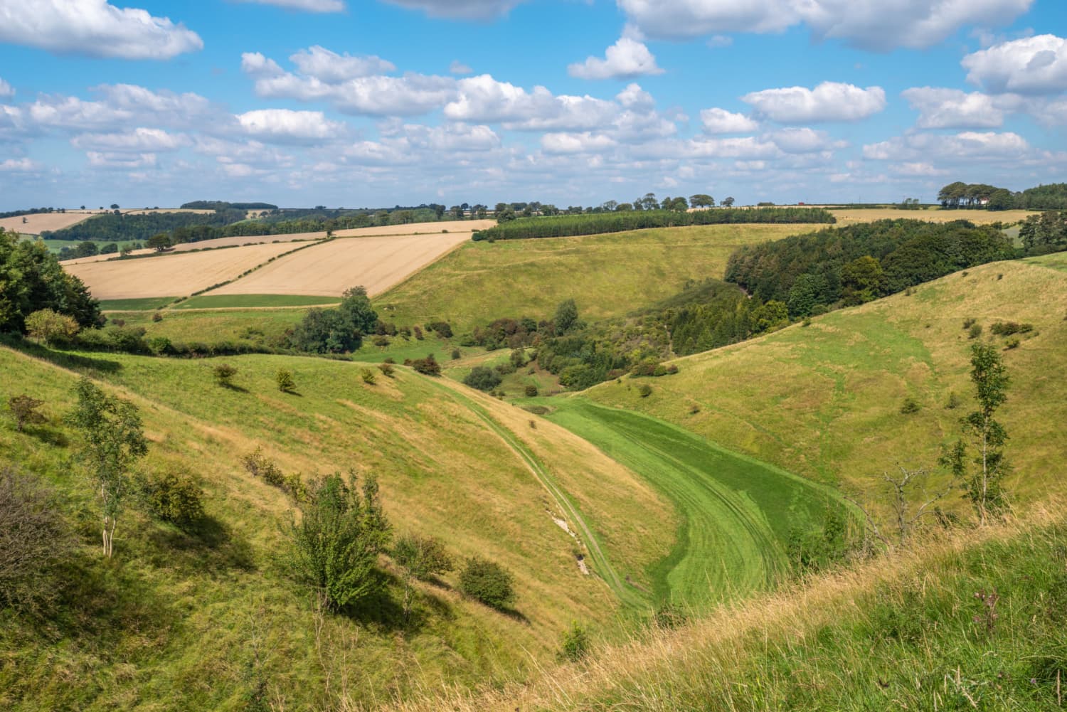 Walk: Dry Valleys of Thixendale