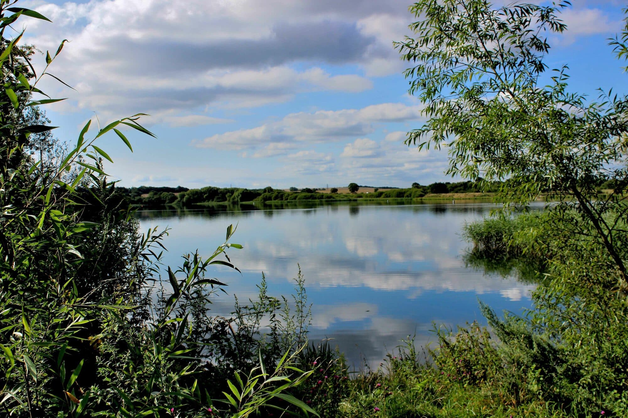 Walk: Havercroft and Kinsley