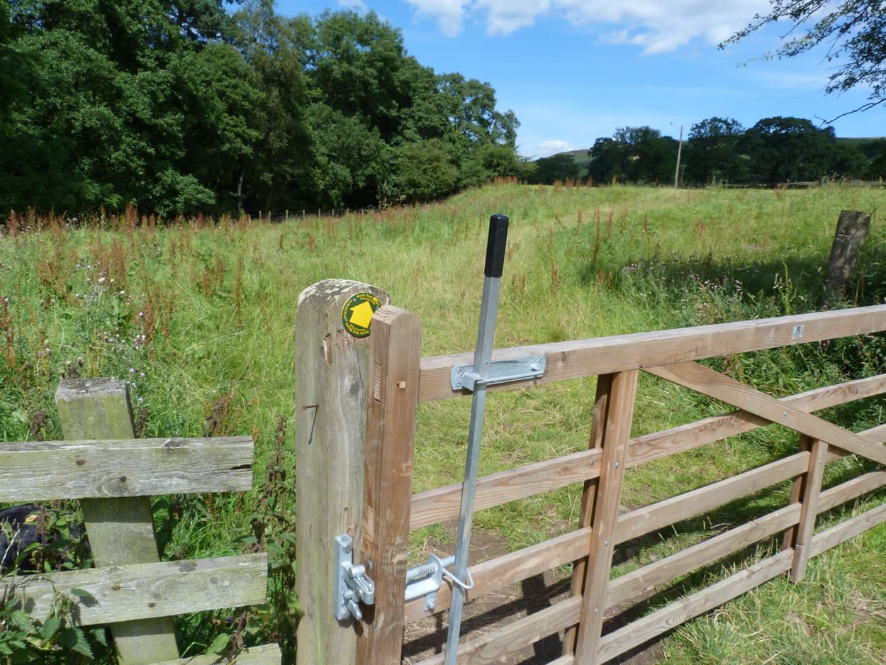 Walk: Rosedale Explorer