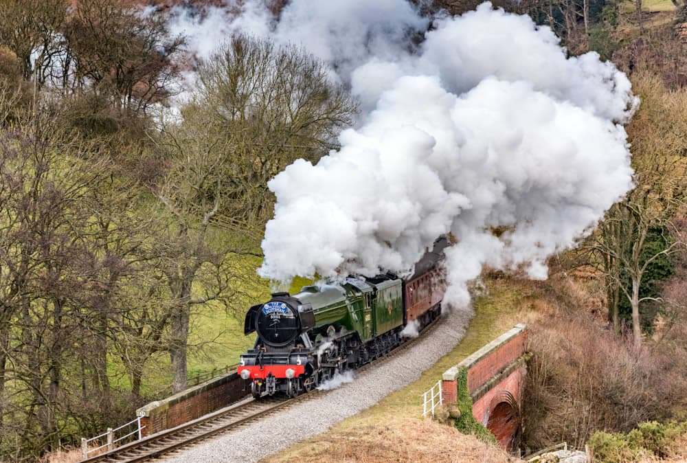 Walk: Fox and Rabbit to Pickering Walk