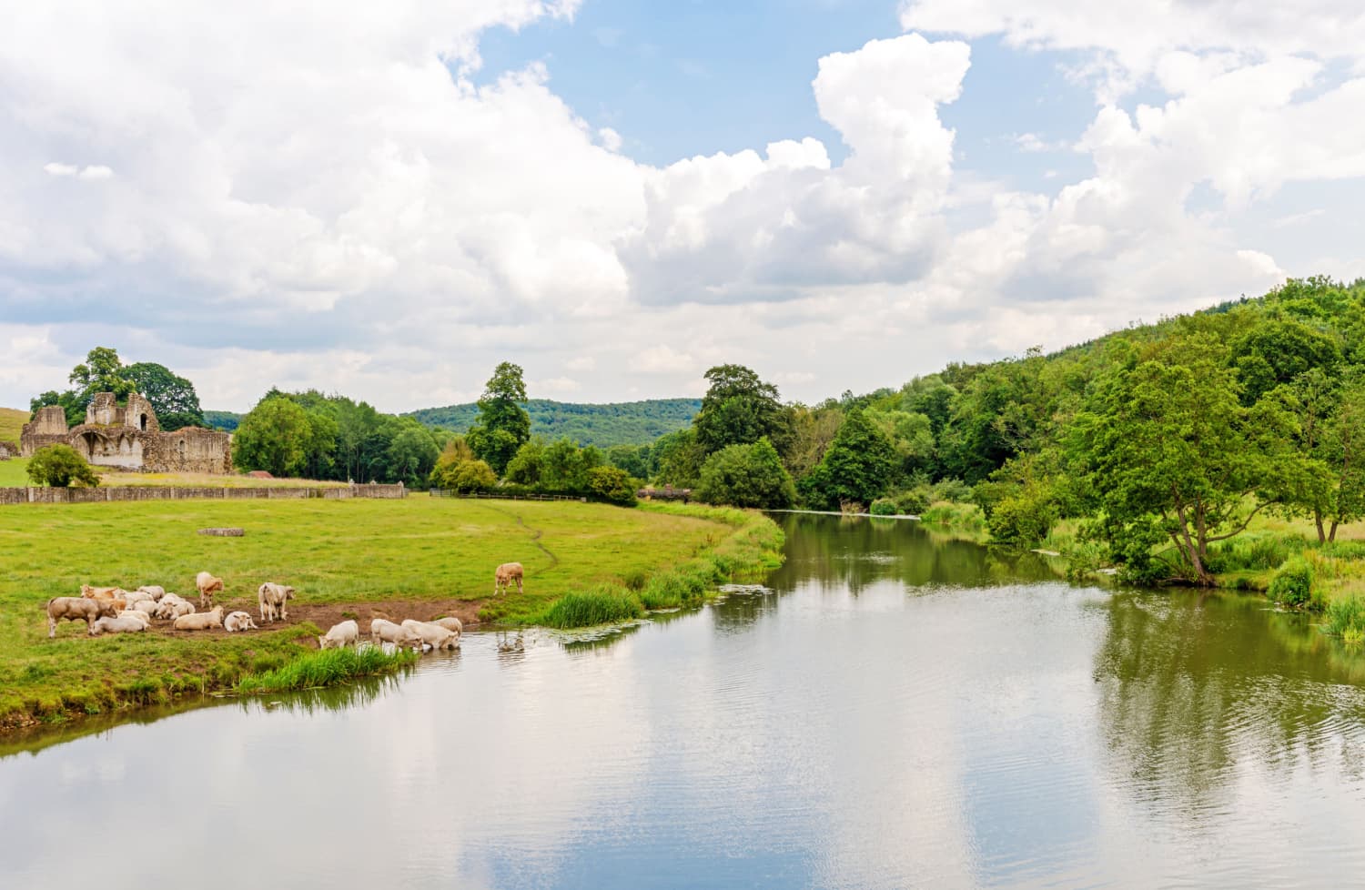 Walk: Malton and Saint Mary's Priory