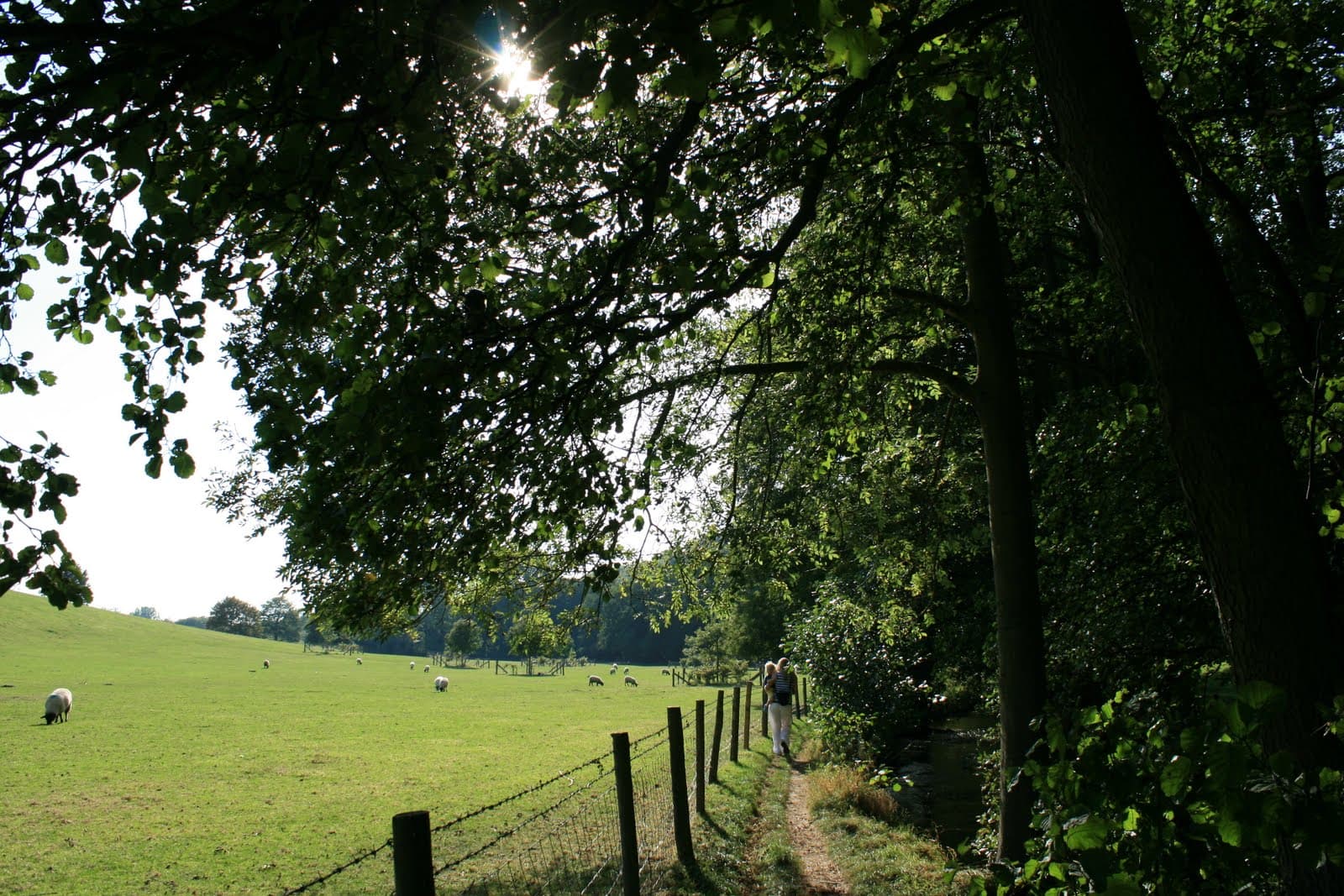 Walk: Thornton-le-Dale