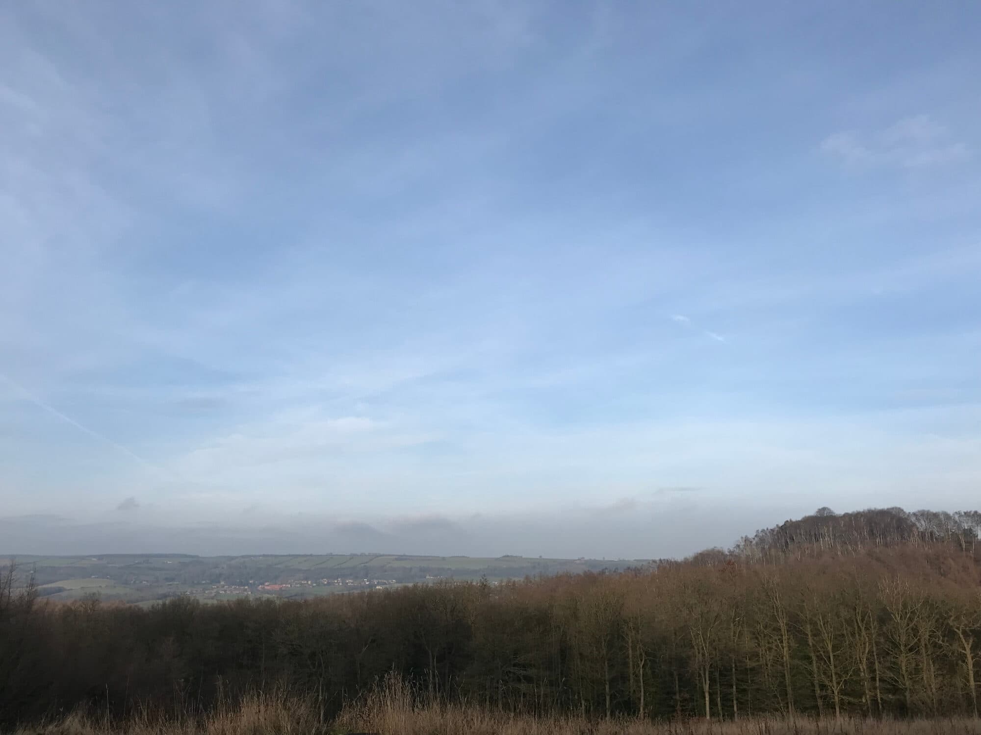 Walk: Yearsley Woods