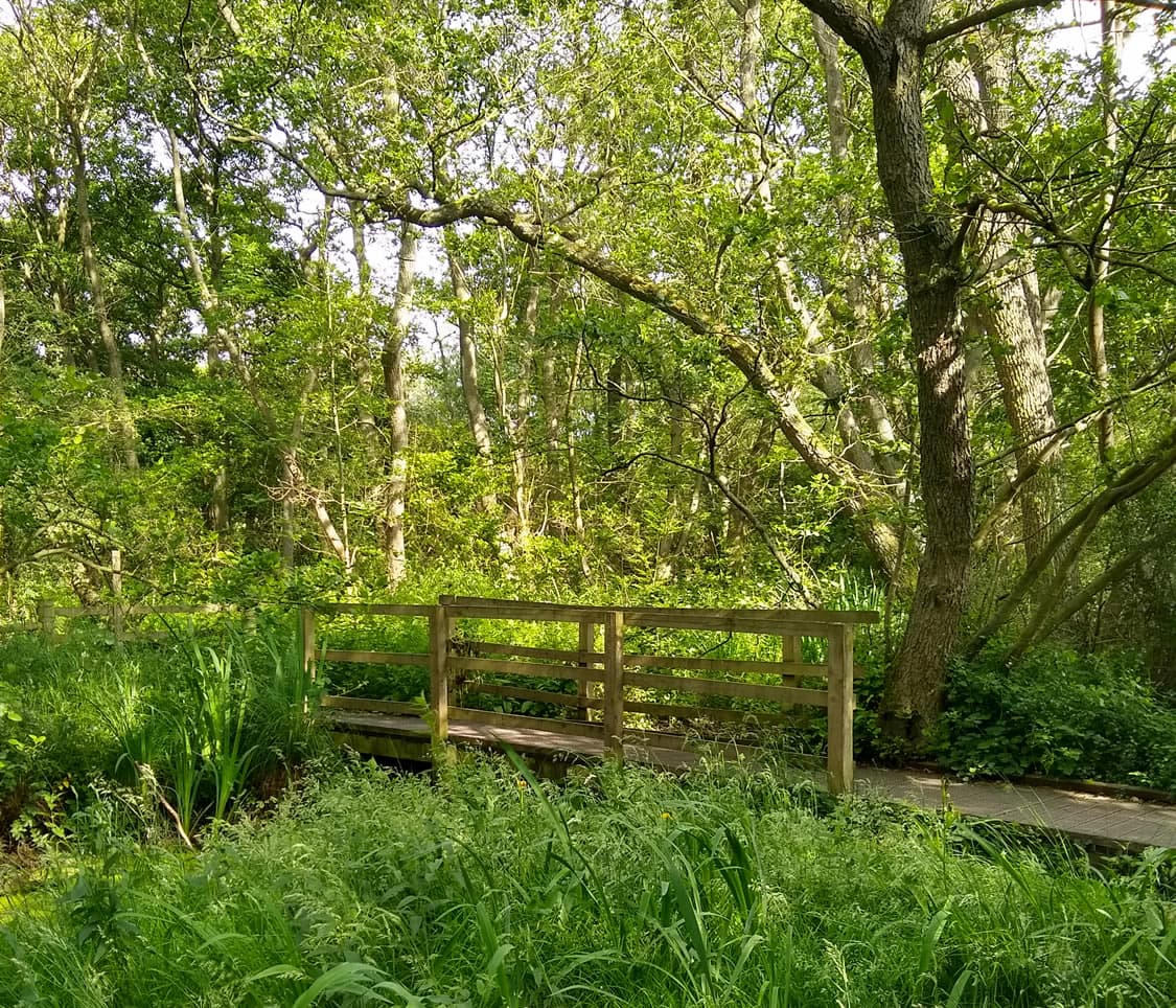 Walk: Askham Bar to Askham Bog and Copmanthorpe Trail