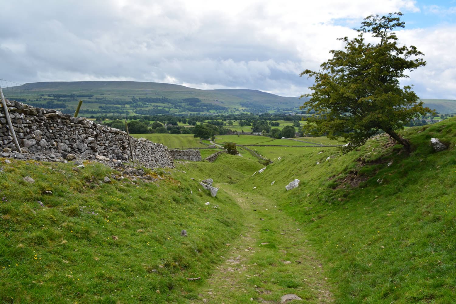Walk: Aysgarth Falls and Bolton Castle