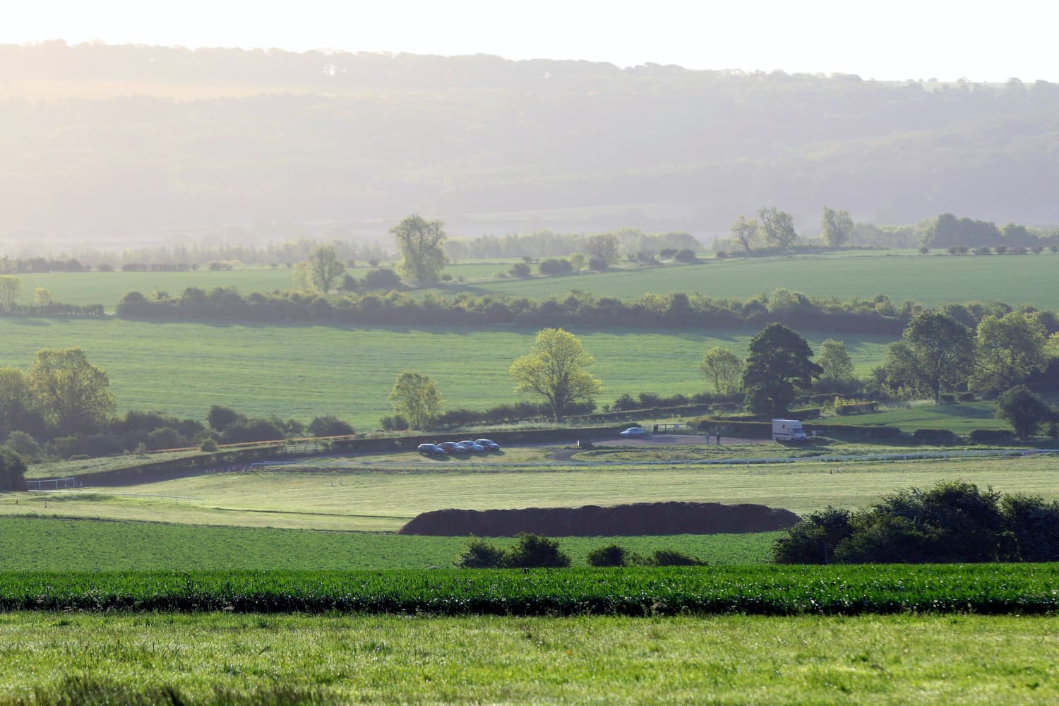 Walk: Norton and Whitewall Views