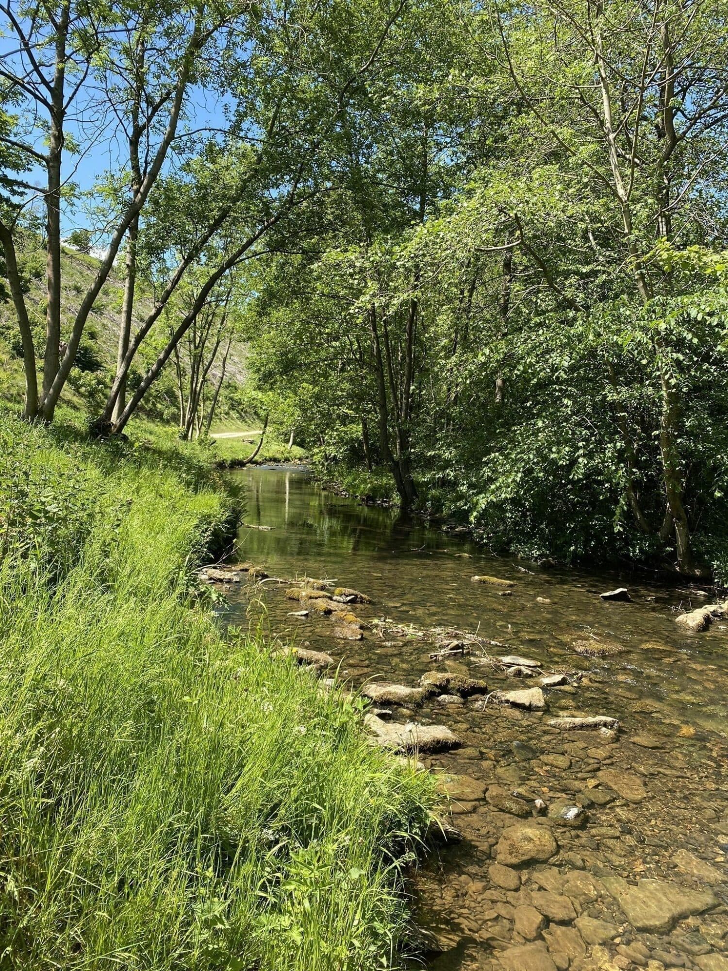 Walk: Helmsley and Riccal Dale