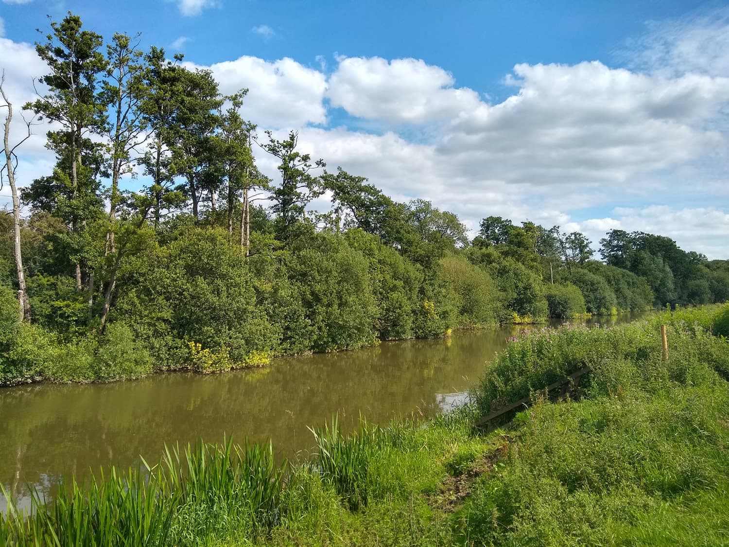 Walk: Stamford Bridge to Kexby Return