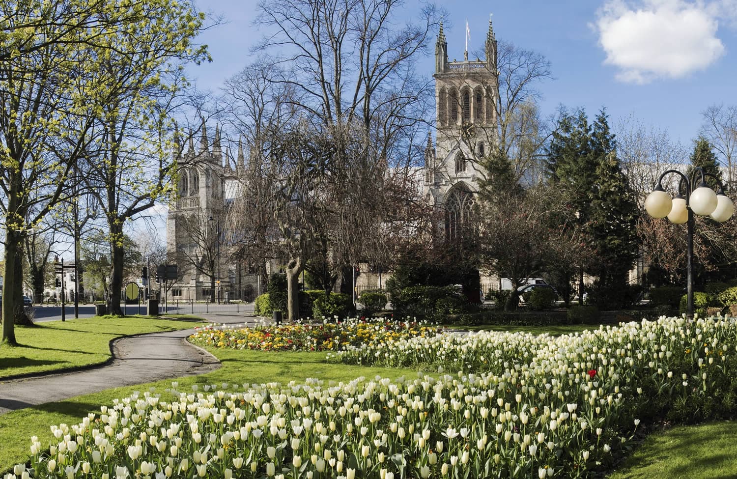 Walk: Selby Trails Part 3. The Oak Trail