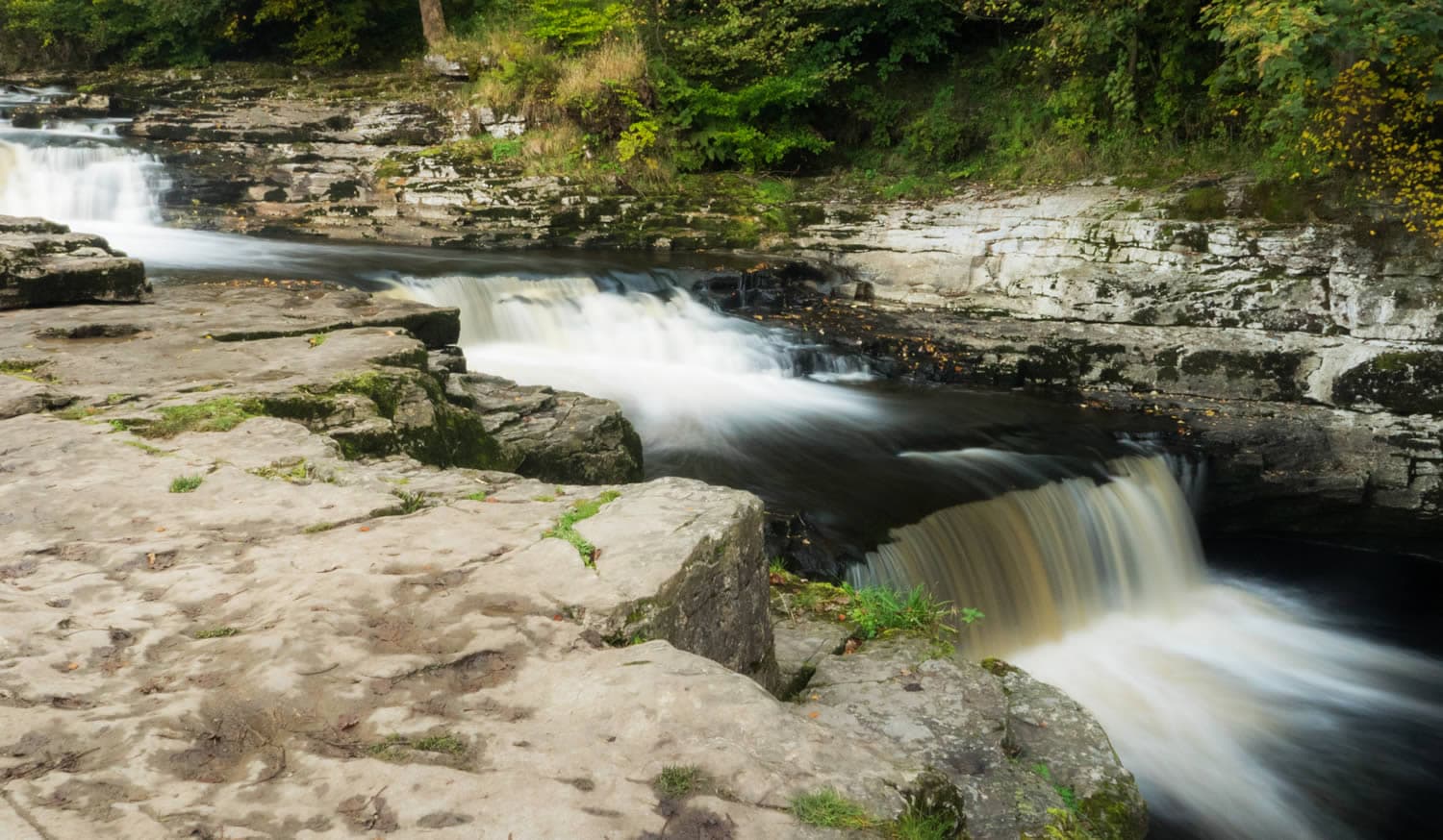 Walk: Stainforth Force