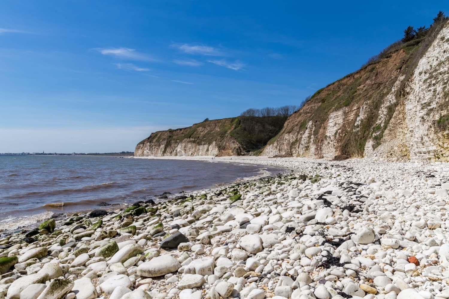 Newsletter: Friday 15th March 2024