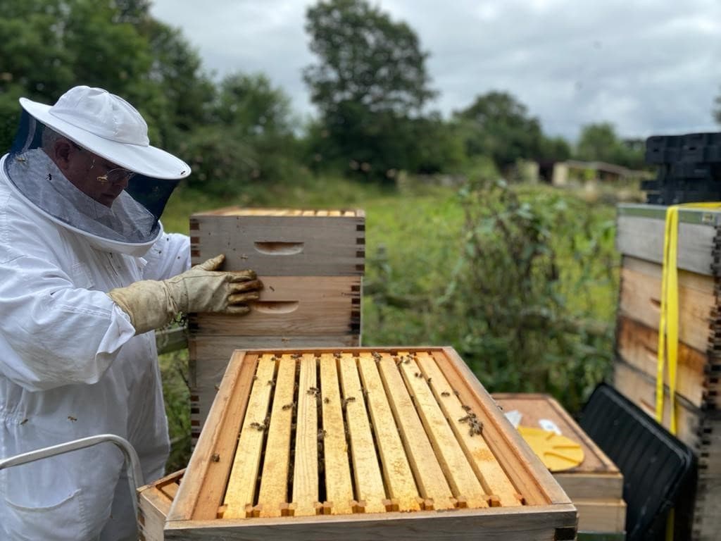 bee keeping workshop