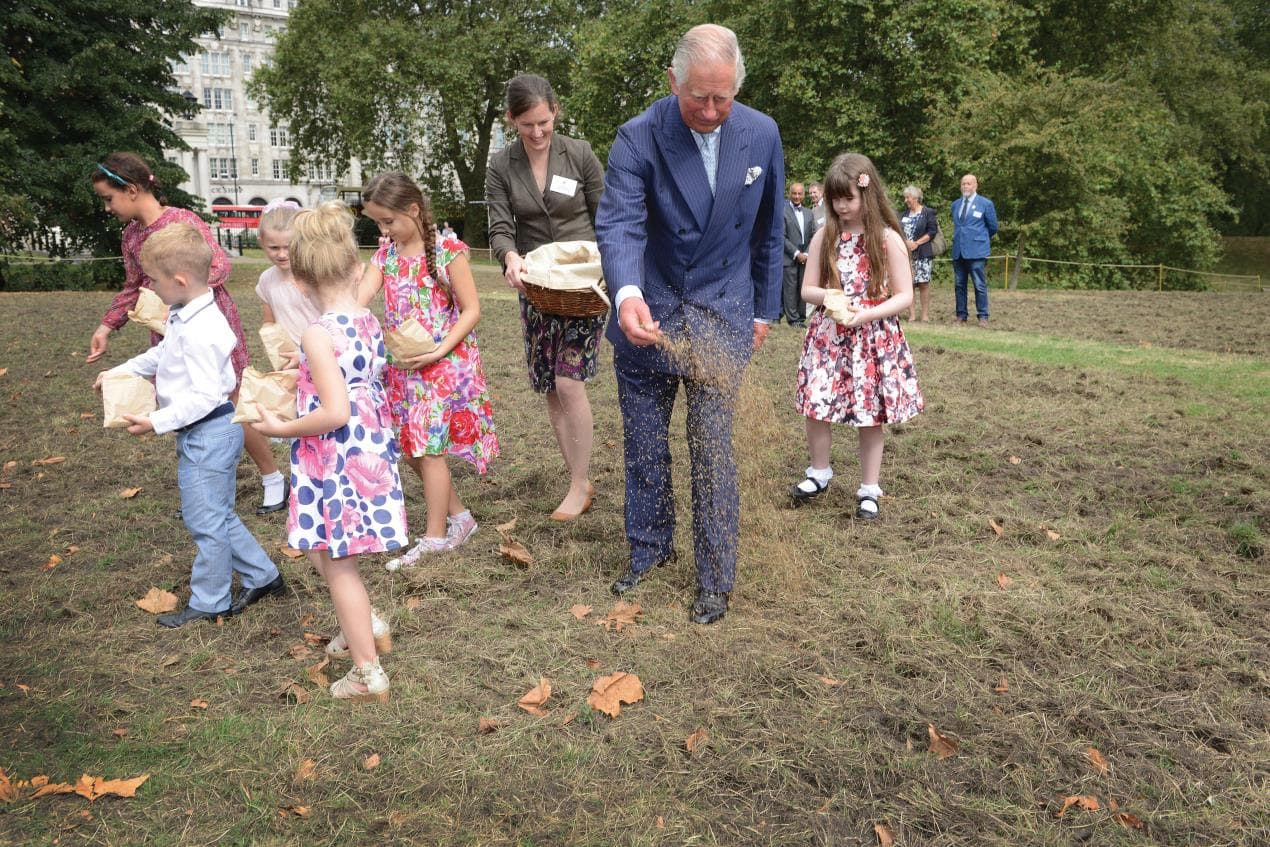 King Charles endorses Yorkshire Dales Millennium Trust