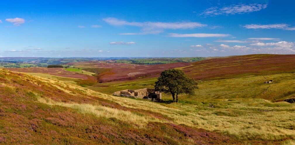 Event in Bradford in August