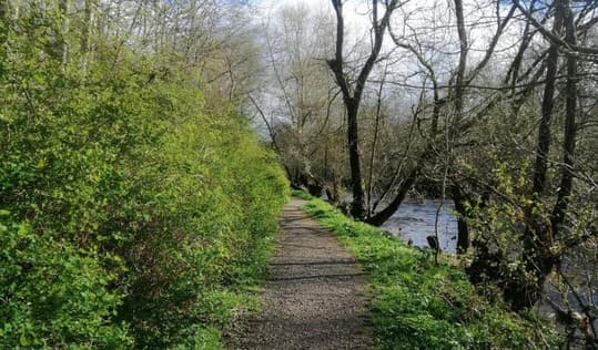 Bradford walking trail