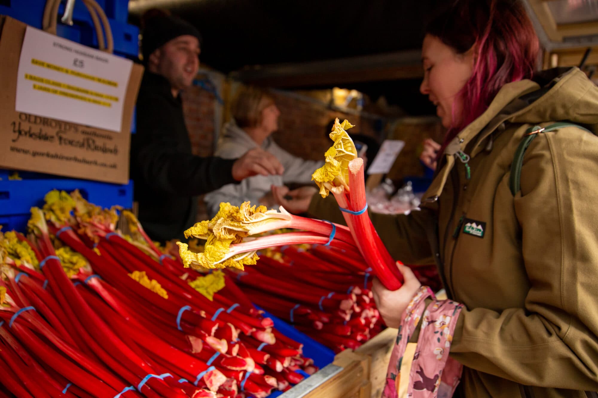 What to Expect at Wakefield Rhubarb Festival 2025: Fun for the Whole Family!