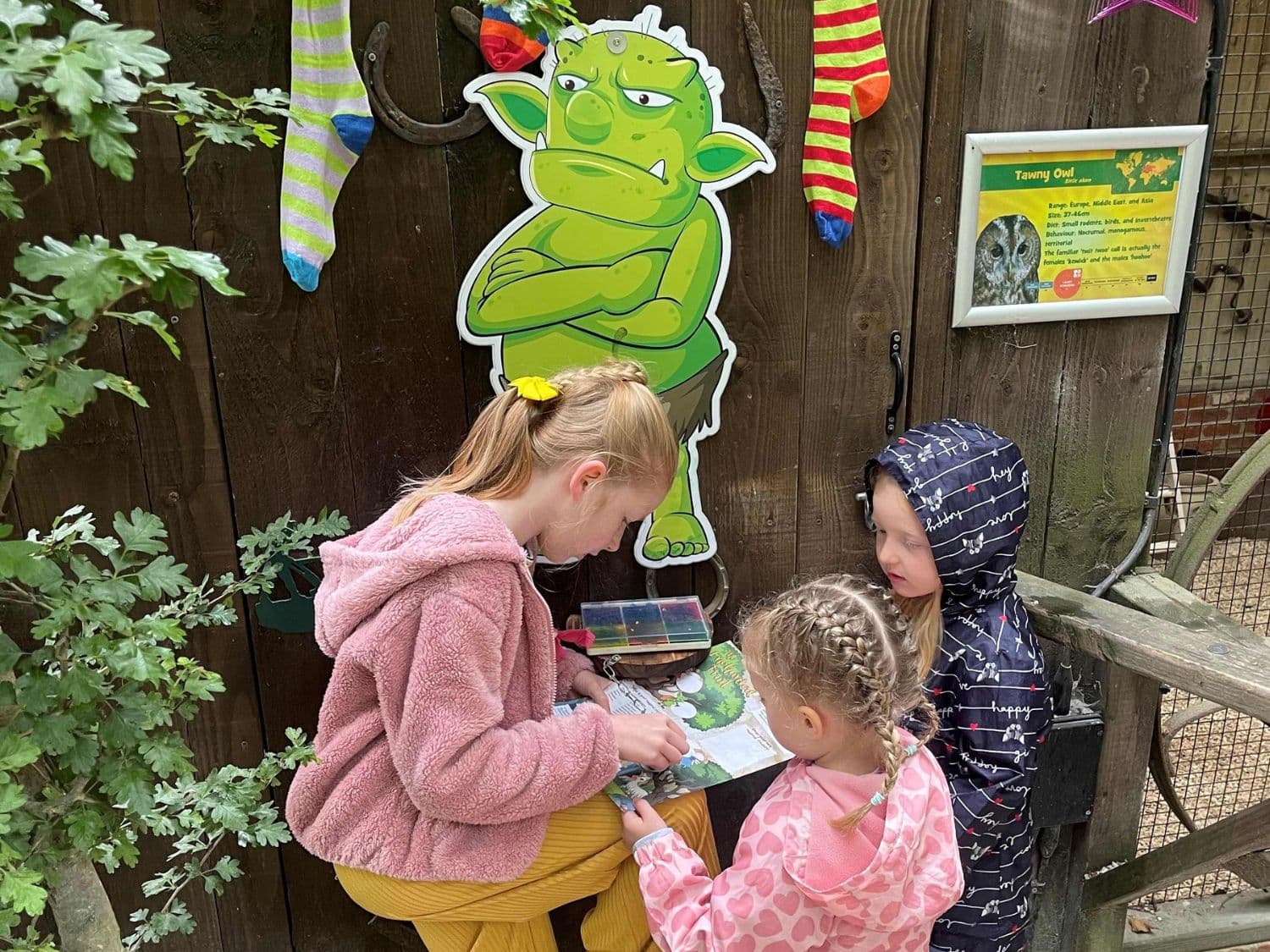 What’s Happening At The Enchanted Fairy Forest 2025?