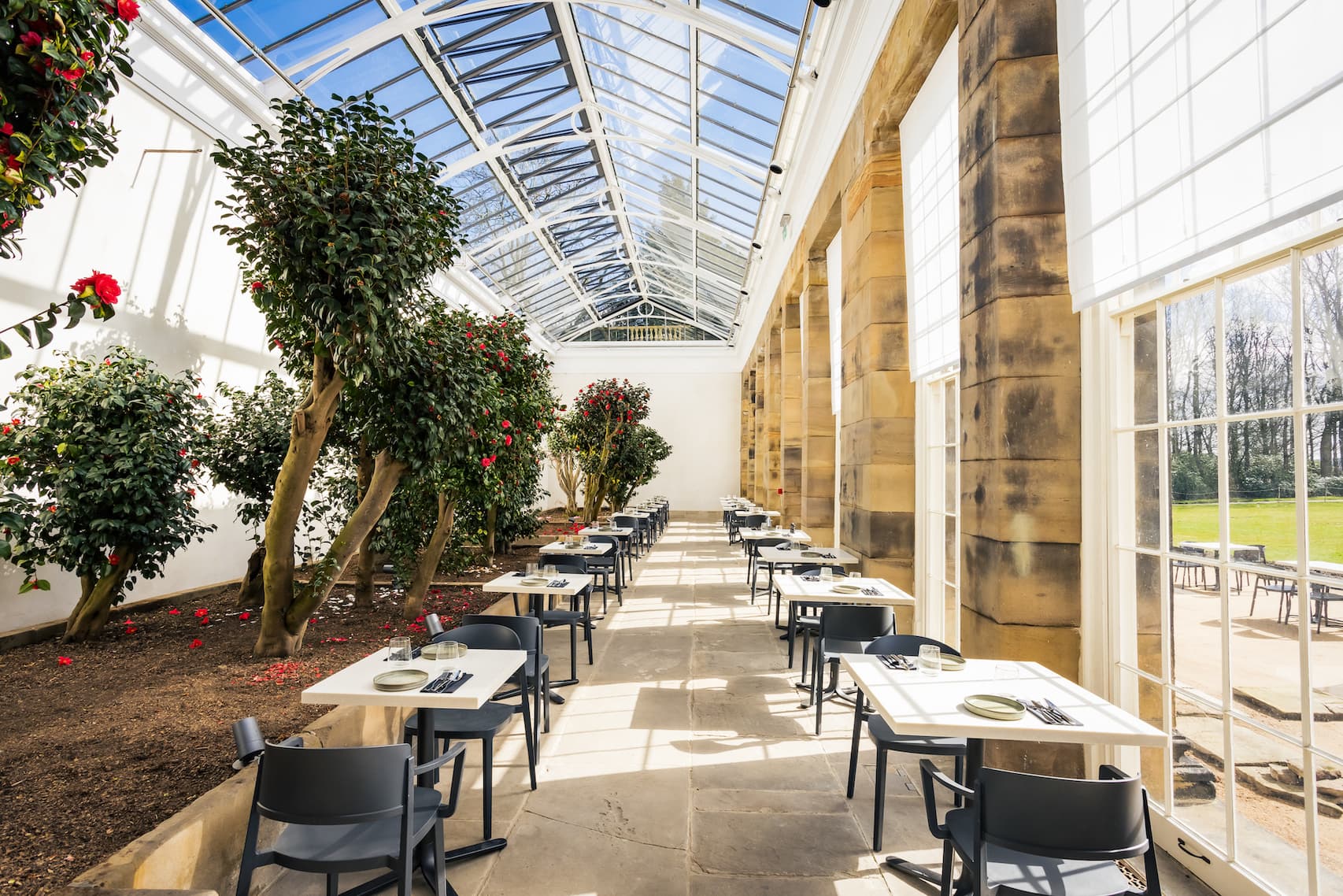 A Blooming Triumph: Wentworth Woodhouse’s Camellia House Wins Prestigious European Heritage Award