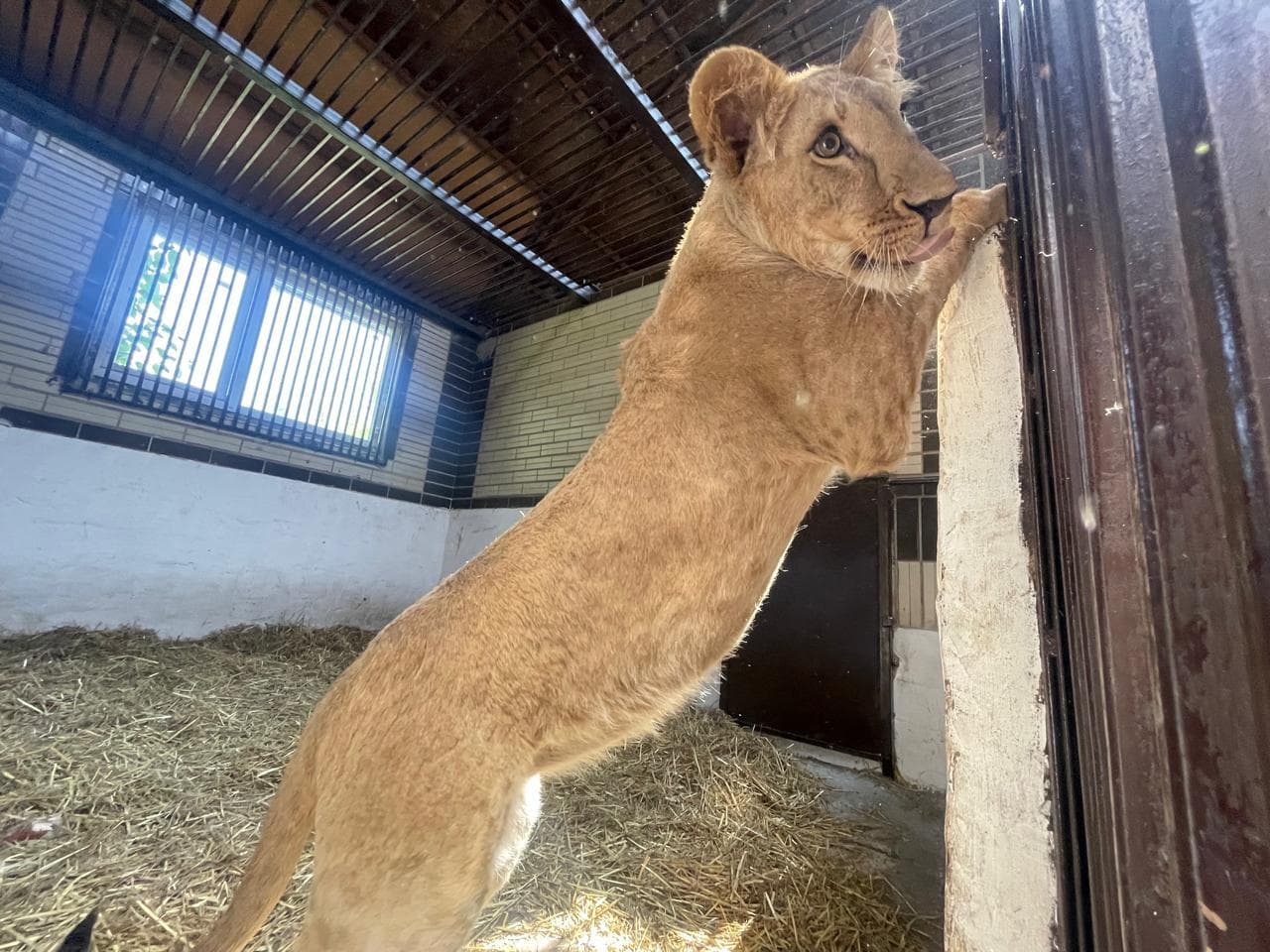 Newsletter: Friday 4th July 2025