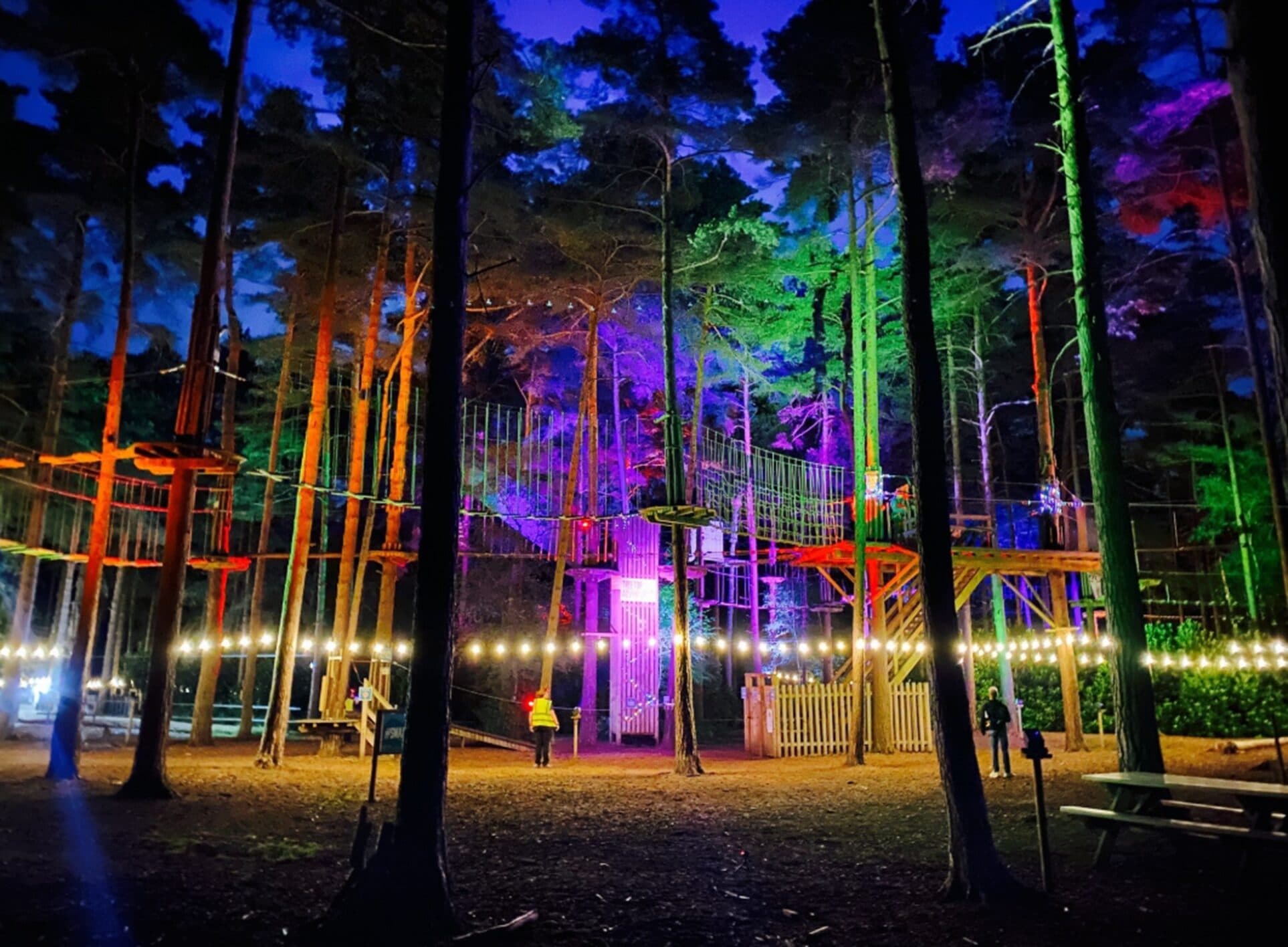 What Are the Best Go Ape Autumn Adventures and Deals for a Family Day Out?