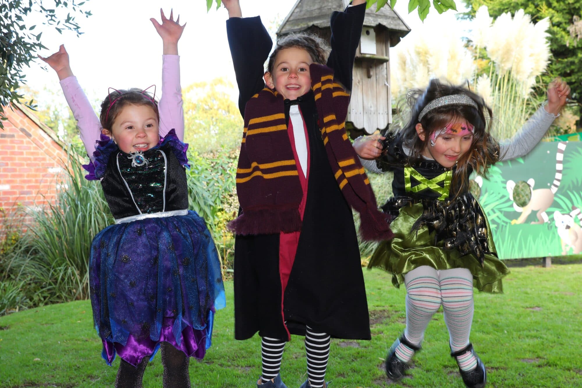 What Is The Witches and Wizards Trail at Tropical Butterfly House Sheffield This Halloween 2025