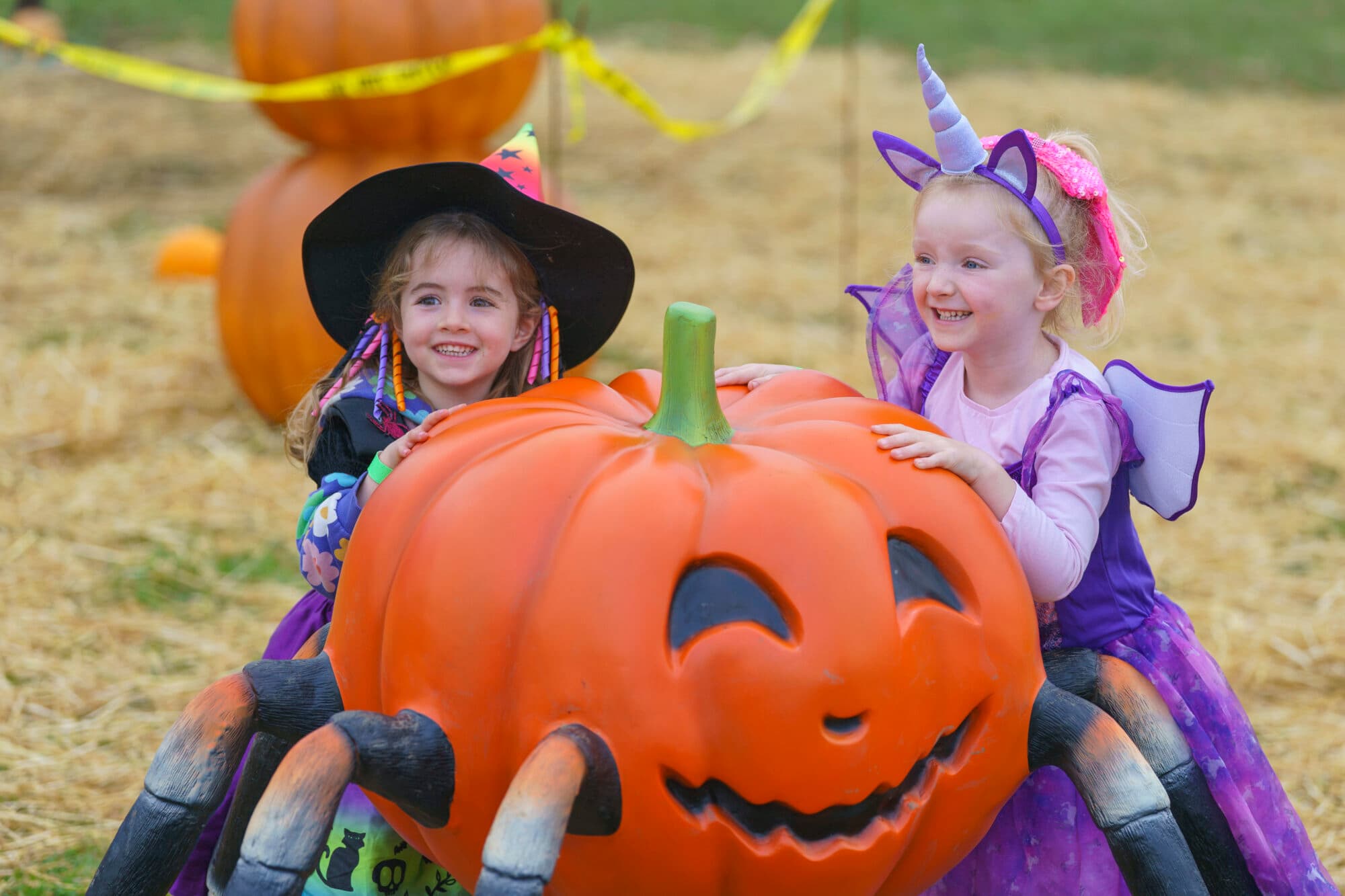 What's On For Halloween At Yorkshire Wildlife Park?