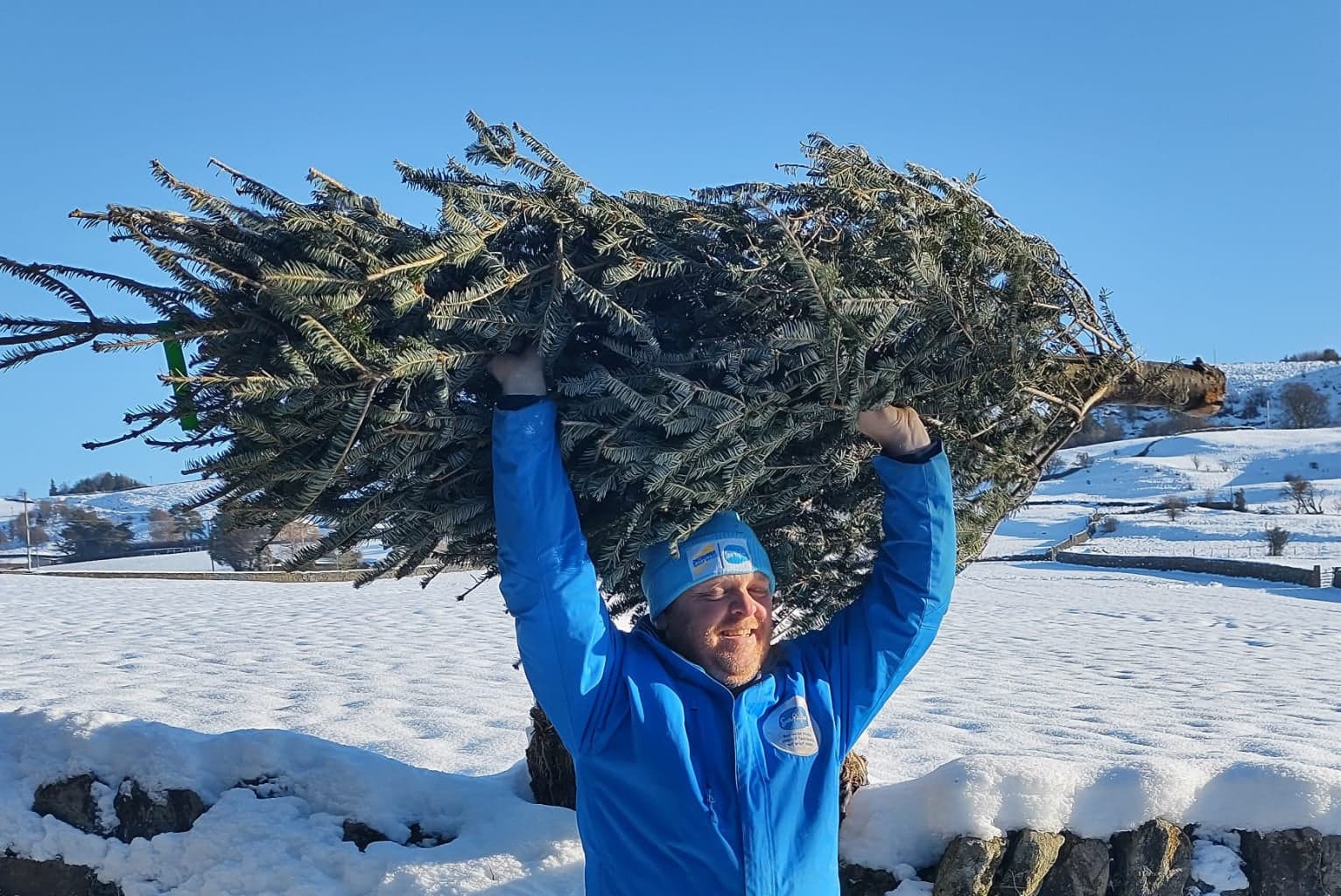 How To Recycle Your Christmas Tree In West Yorkshire And Support The Sue Ryder Charity