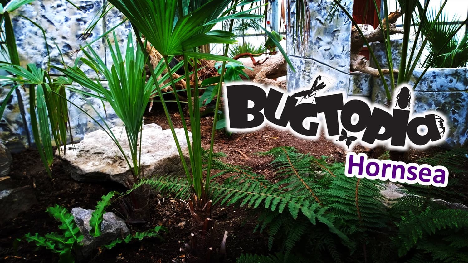 Bugtopia Hornsea - Zoos in hornsea