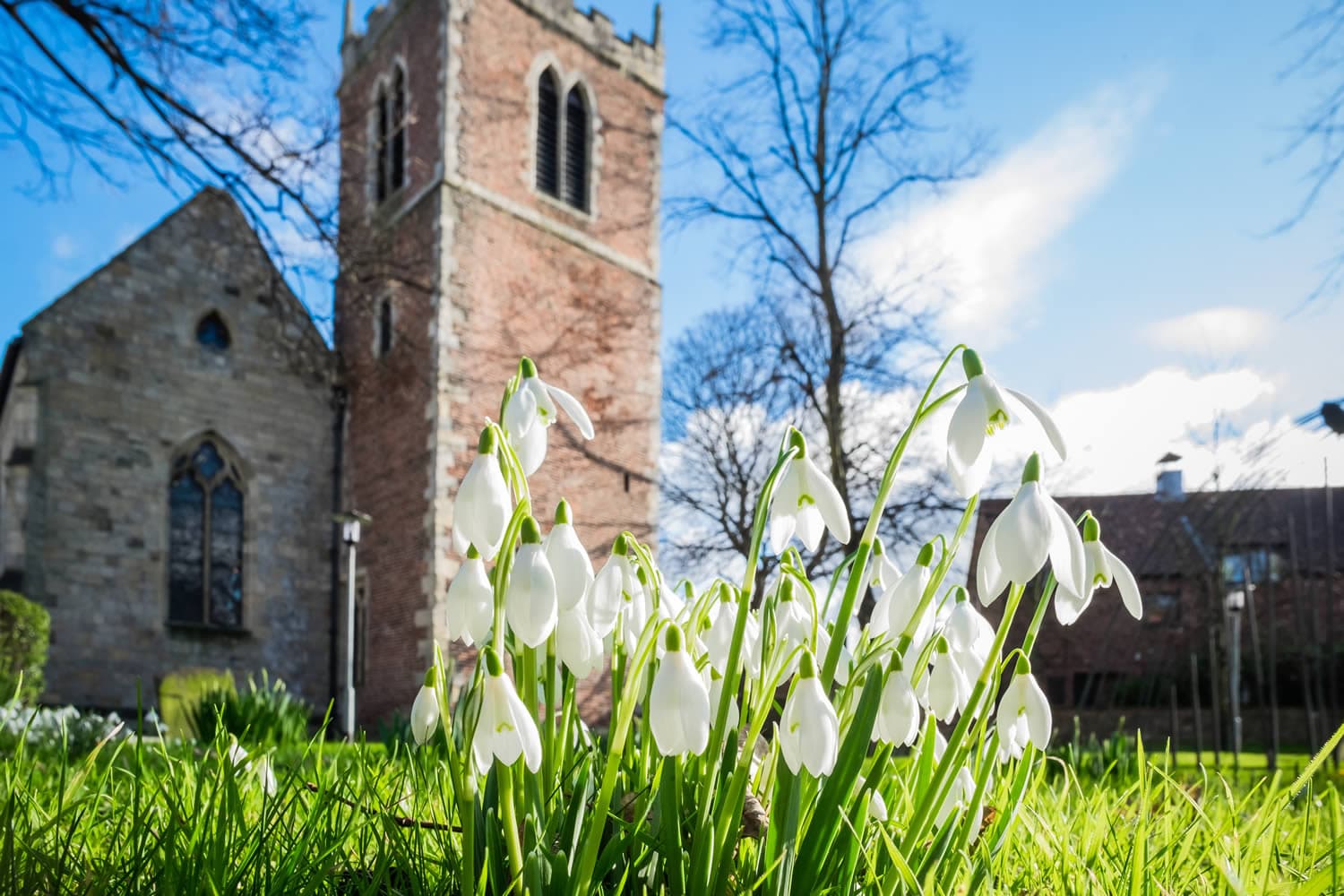 National Centre For Early Music