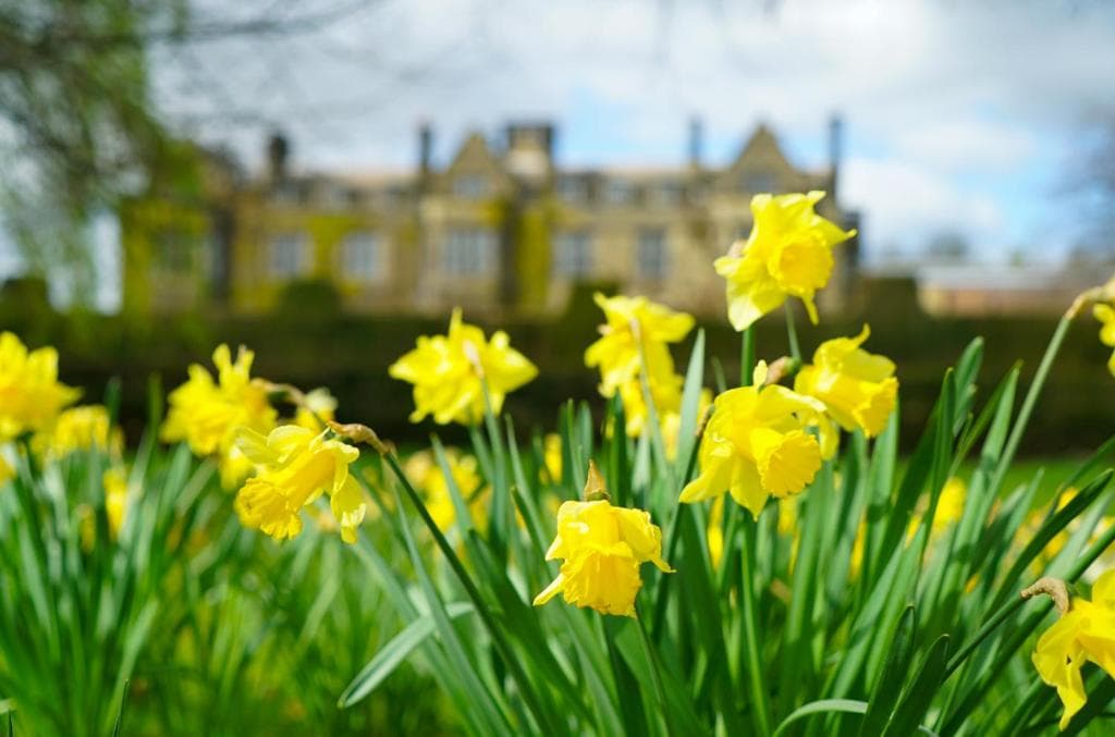 Accommodation at Gisborough Hall Hotel in guisborough