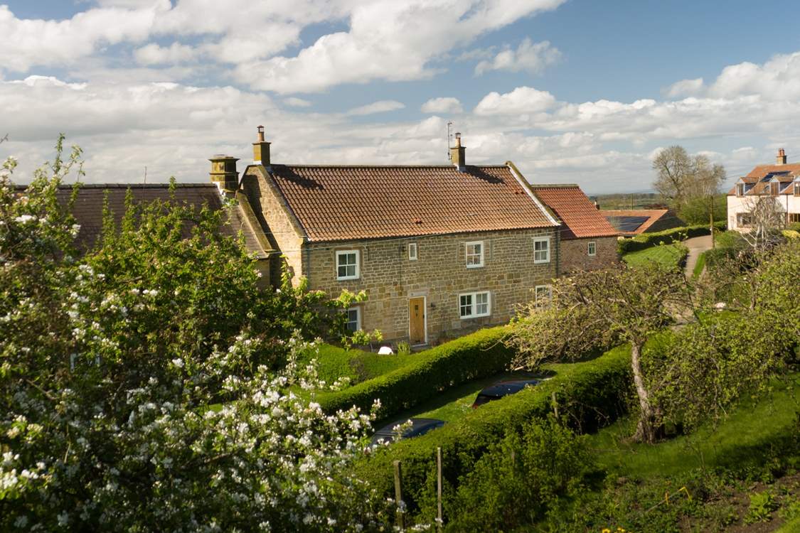Accommodation at Ivy House in north yorkshire