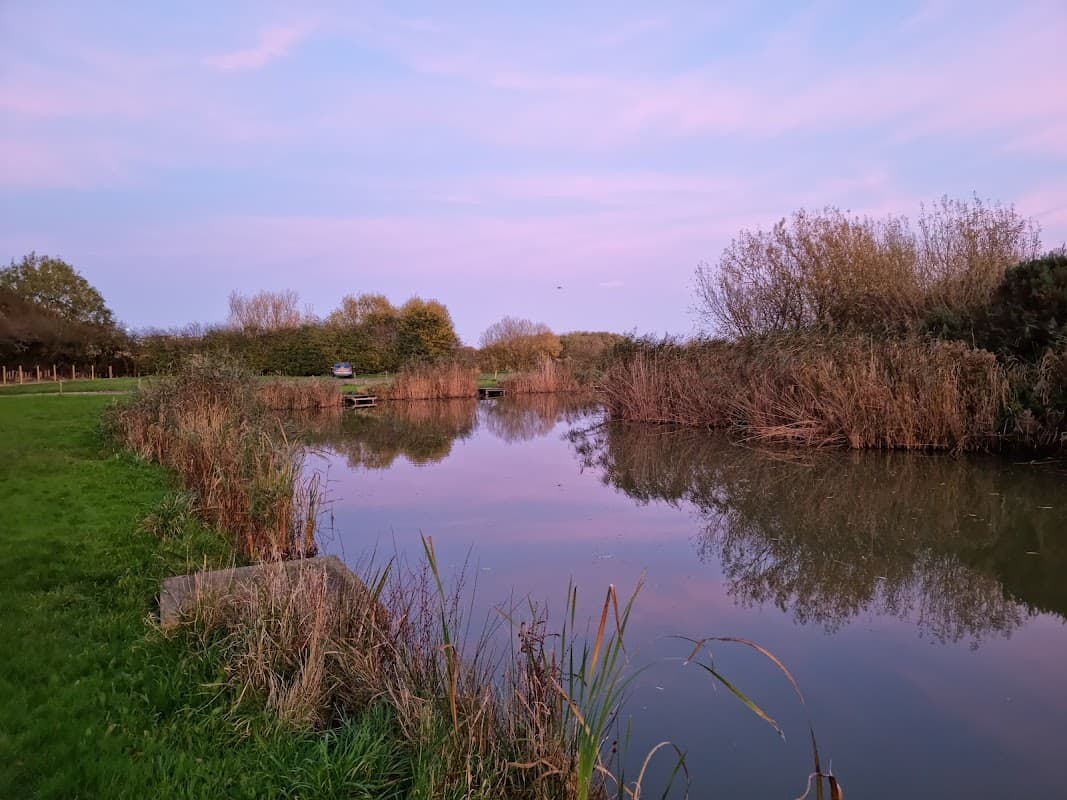 Tranquil moat pond surrounded by lush greenery and tall reeds under a pastel sunset sky in Aldbrough, Yorkshire.