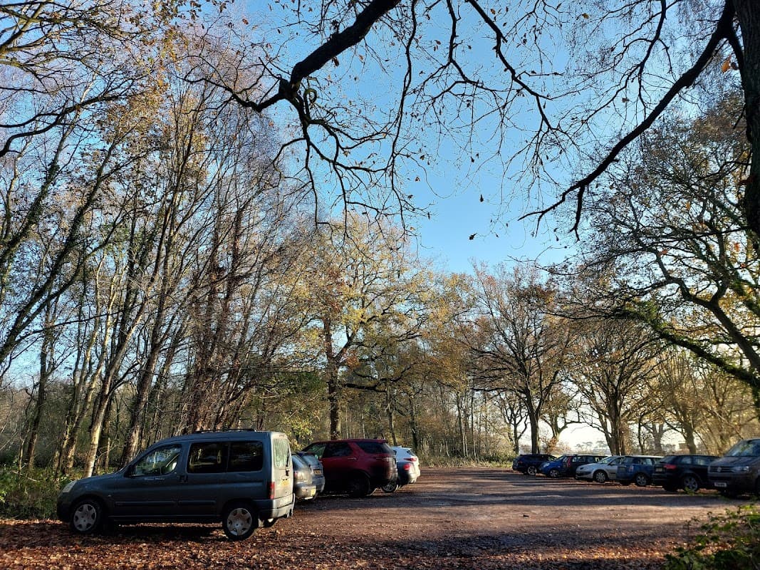 Car park surrounded by trees, with several parked cars and a clear blue sky above.