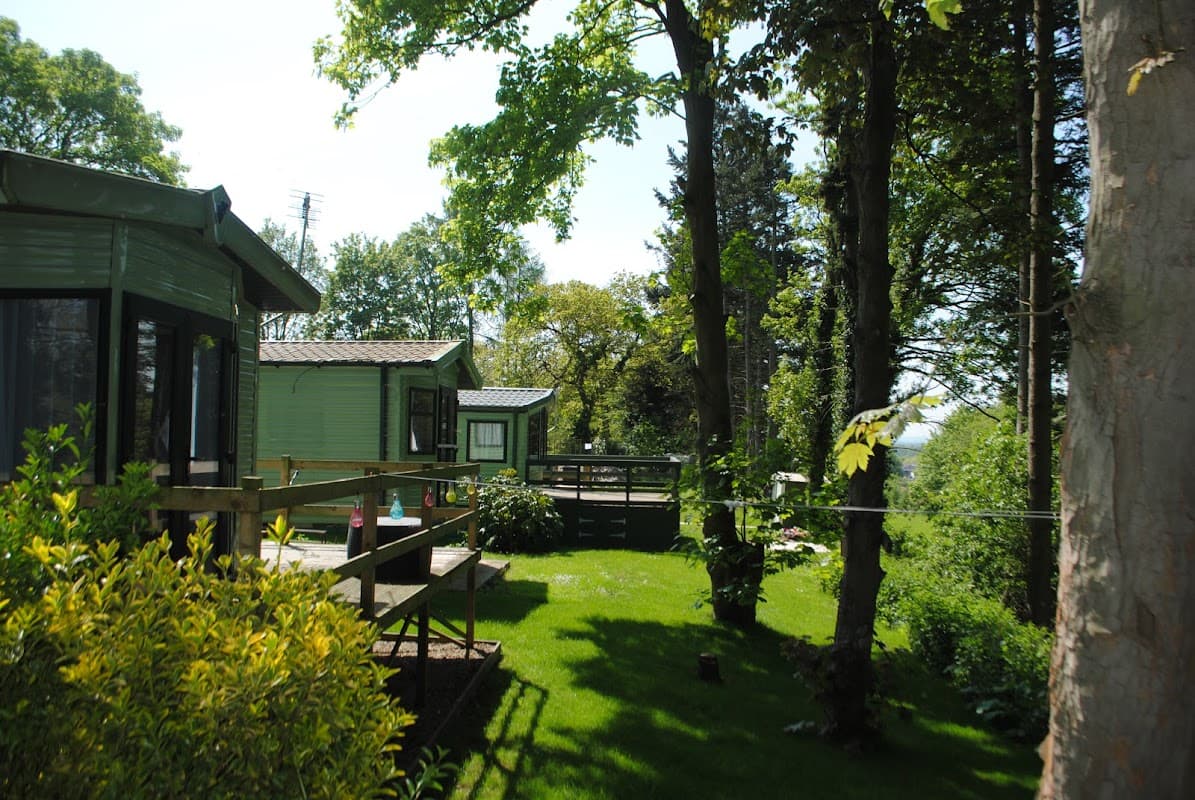 Lush green landscape with wooden cabins, trees, and a sunny sky at Allerton Park, Yorkshire.
