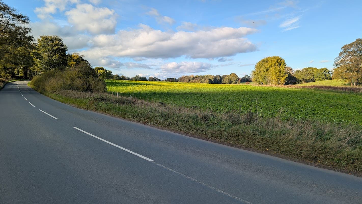 Lush green fields and trees line a quiet road under a bright blue sky with scattered clouds in Alne, Yorkshire.