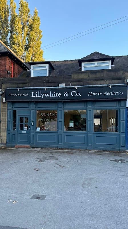 Lillywhite & Co Hair and Aesthetics - Hair Salons in alverthorpe