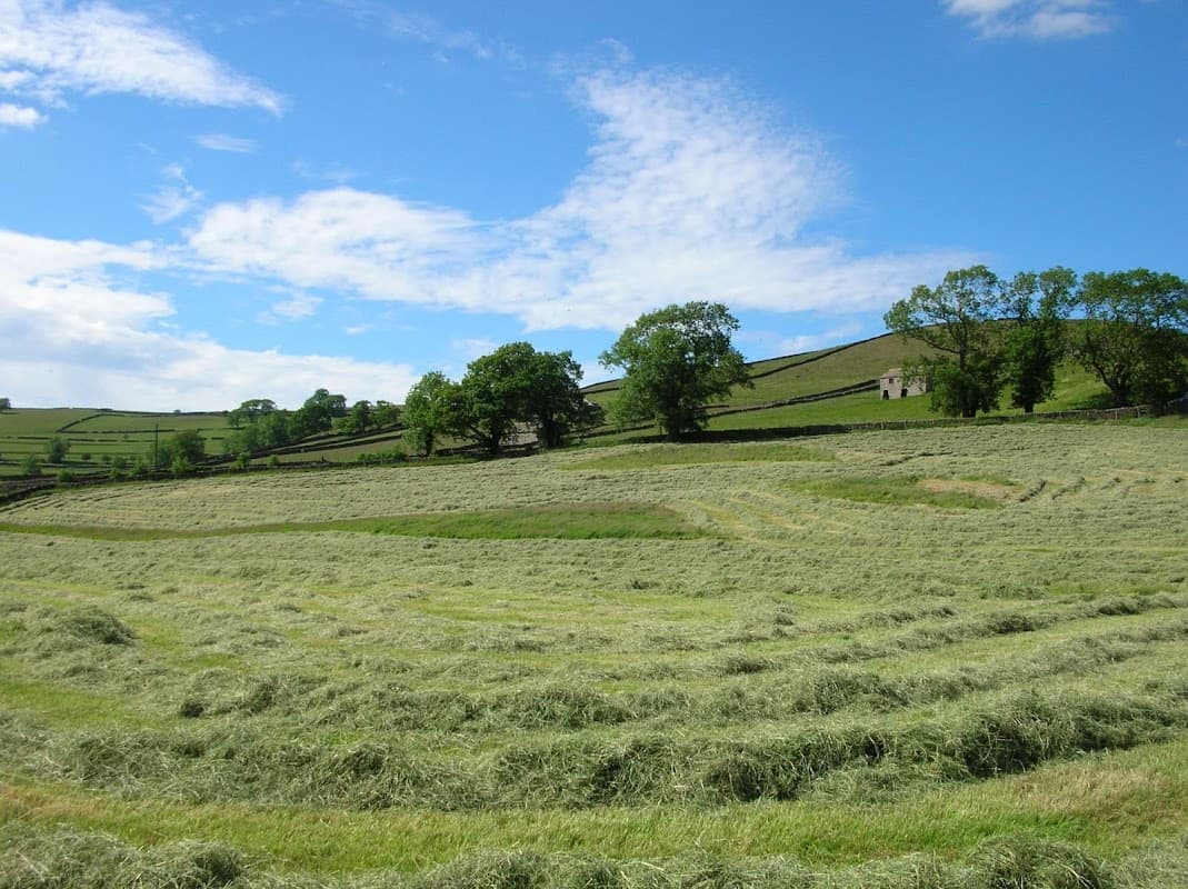 Lush green fields with freshly cut hay, rolling hills, and a bright blue sky in Appletreewick, Yorkshire.