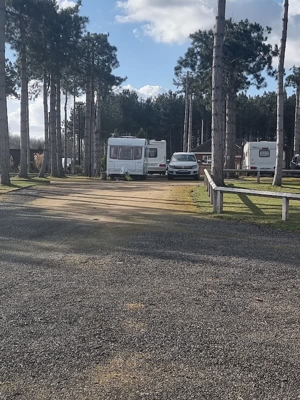 Caravan park with a gravel path, surrounded by tall trees, featuring parked caravans and a car.