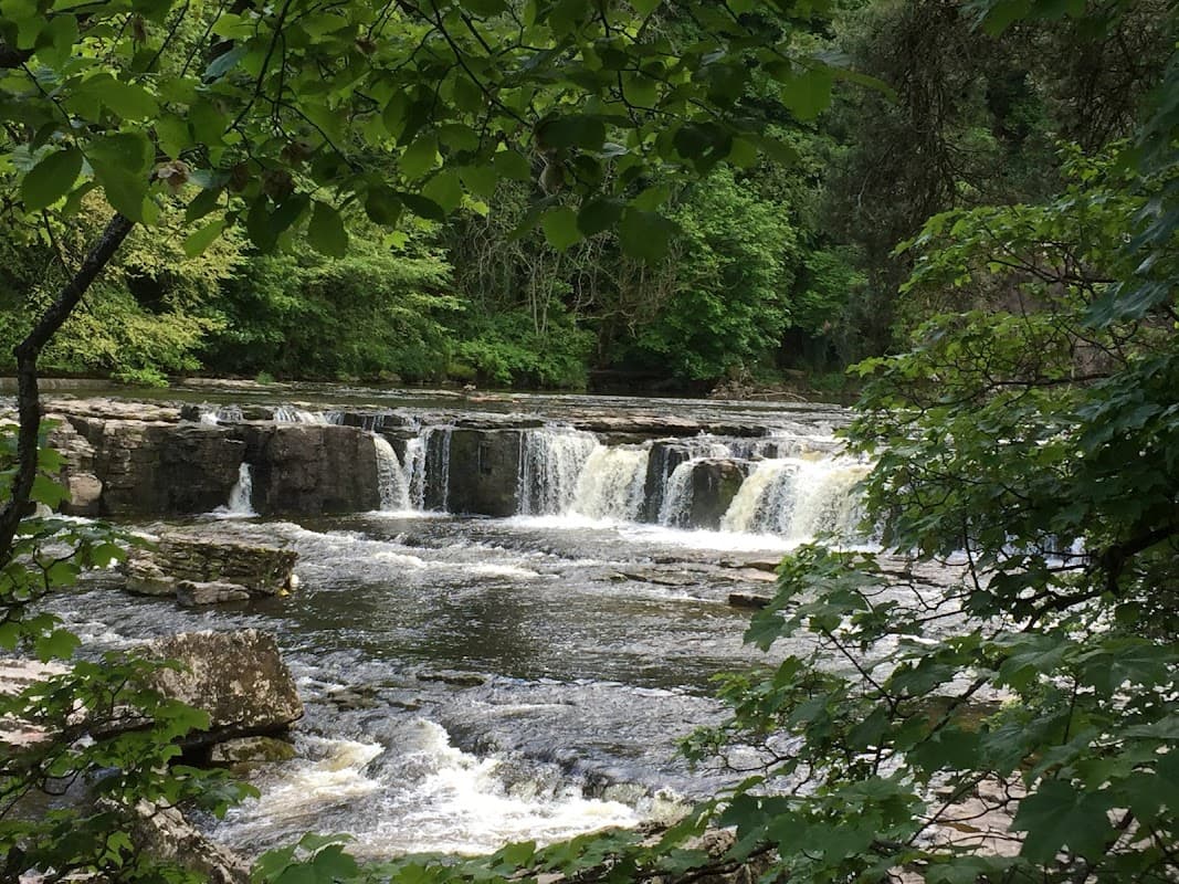 RCP Parking at Aysgarth Falls, featuring flowing water, lush greenery, and rocky riverbanks.