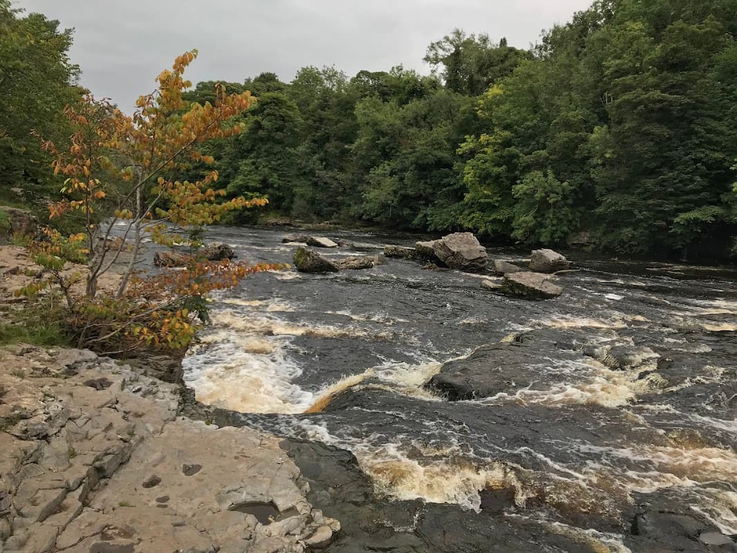 Rushing river with rocky banks, surrounded by lush green trees in Yorkshire Dales National Park near Aysgarth Falls.