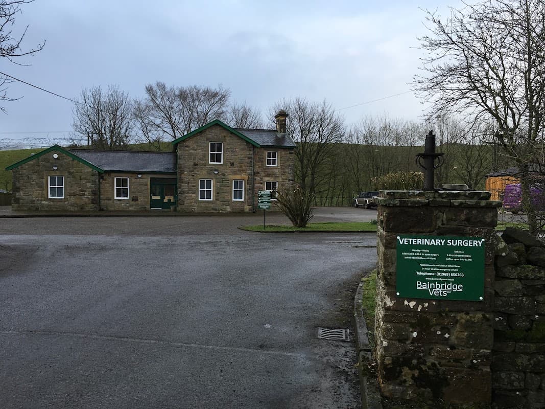 Bainbridge Vets - Vets in bainbridge