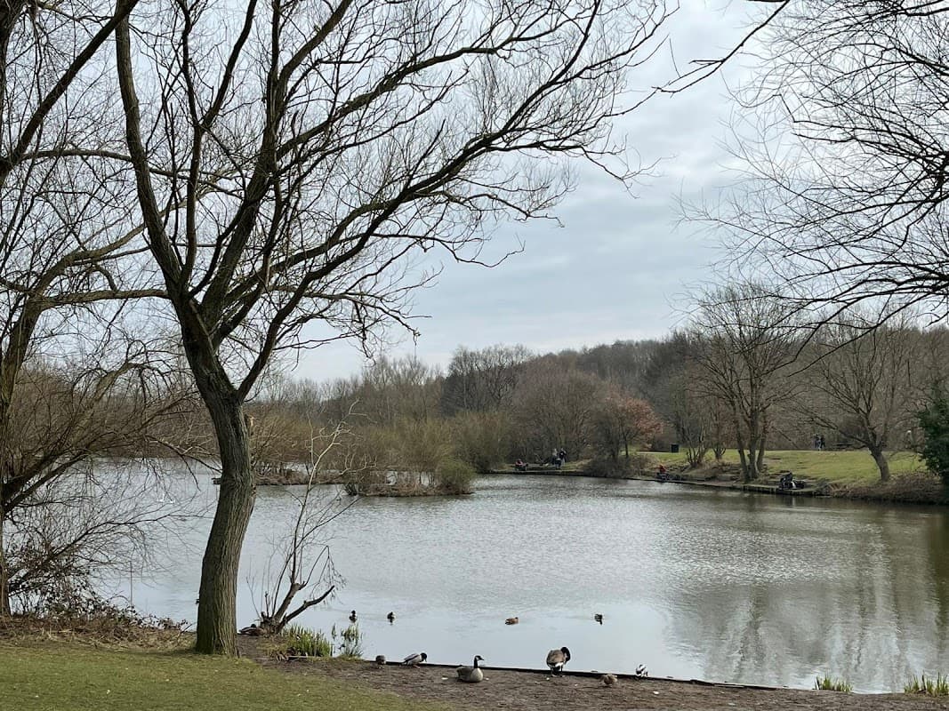 Dearne Valley Park - Park in barnsley